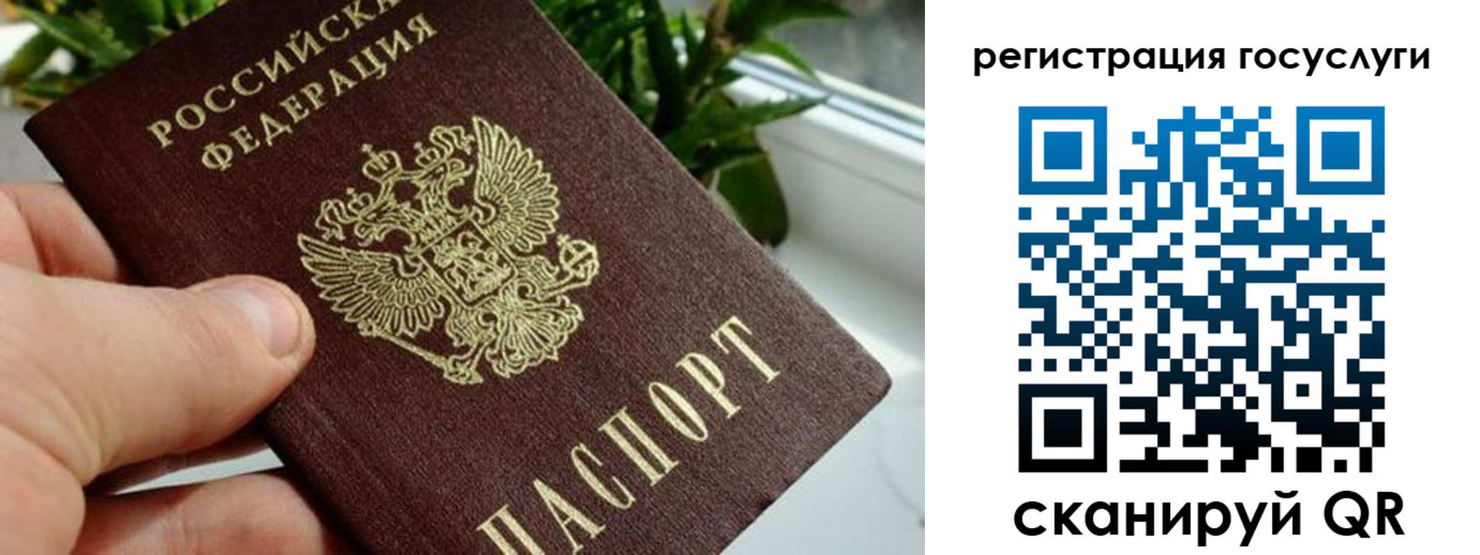прописка для кредита в Каменке